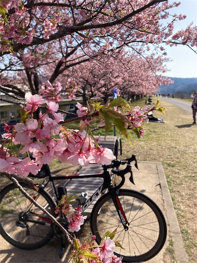 f:id:cyclinglog:20220314172953j:image