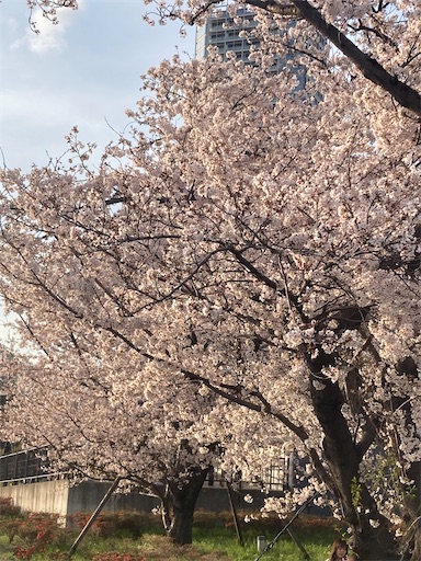 f:id:cyclinglog:20220406101243j:image f:id:cyclinglog:20220406101243j:image