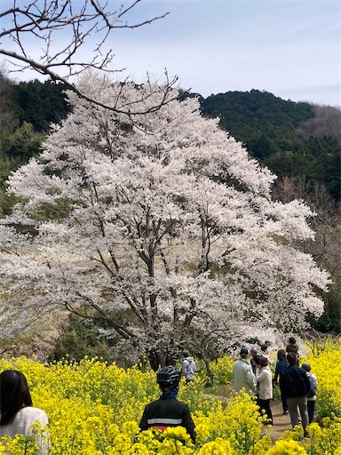 f:id:cyclinglog:20220406101303j:image f:id:cyclinglog:20220406101303j:image
