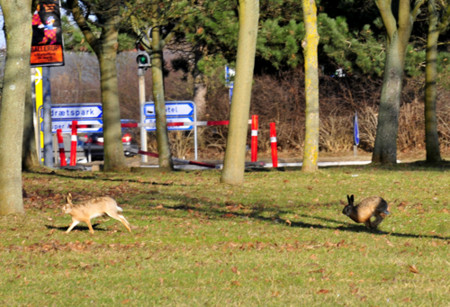 f:id:cyclistfan:20100324004319j:image