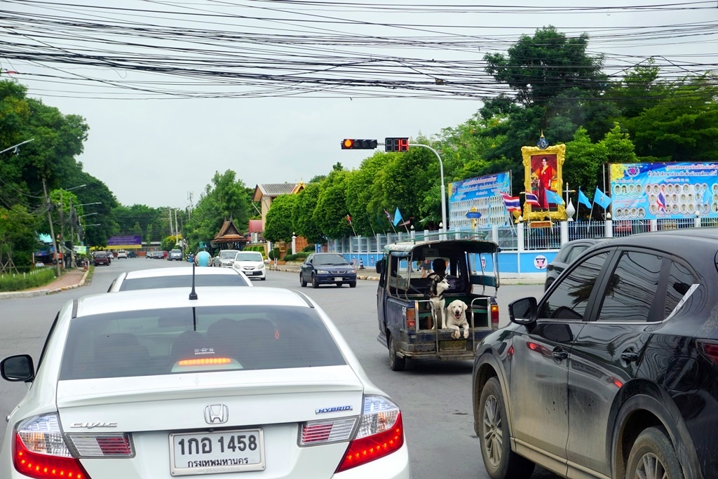 f:id:cycomico178:20190915234749j:plain f:id:cycomico178:20190915234749j:plain