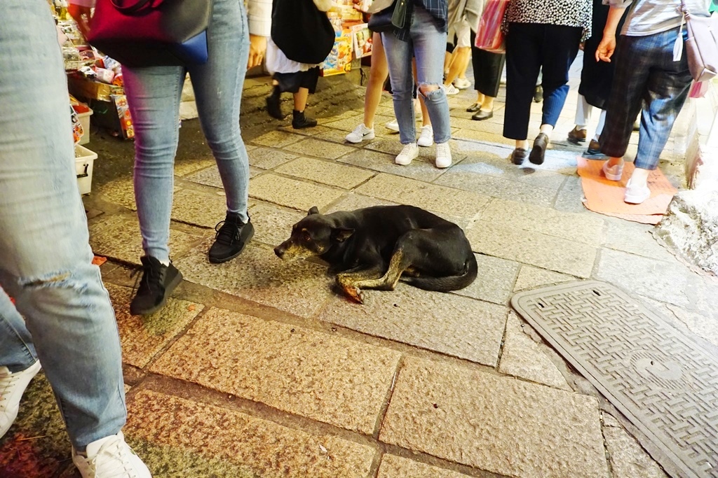 f:id:cycomico178:20191115001939j:plain