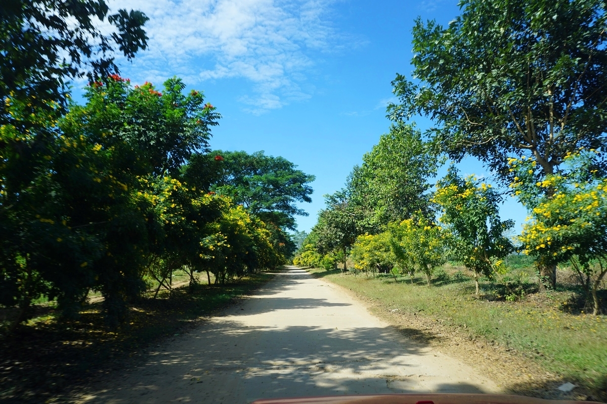 f:id:cycomico178:20220112211620j:plain