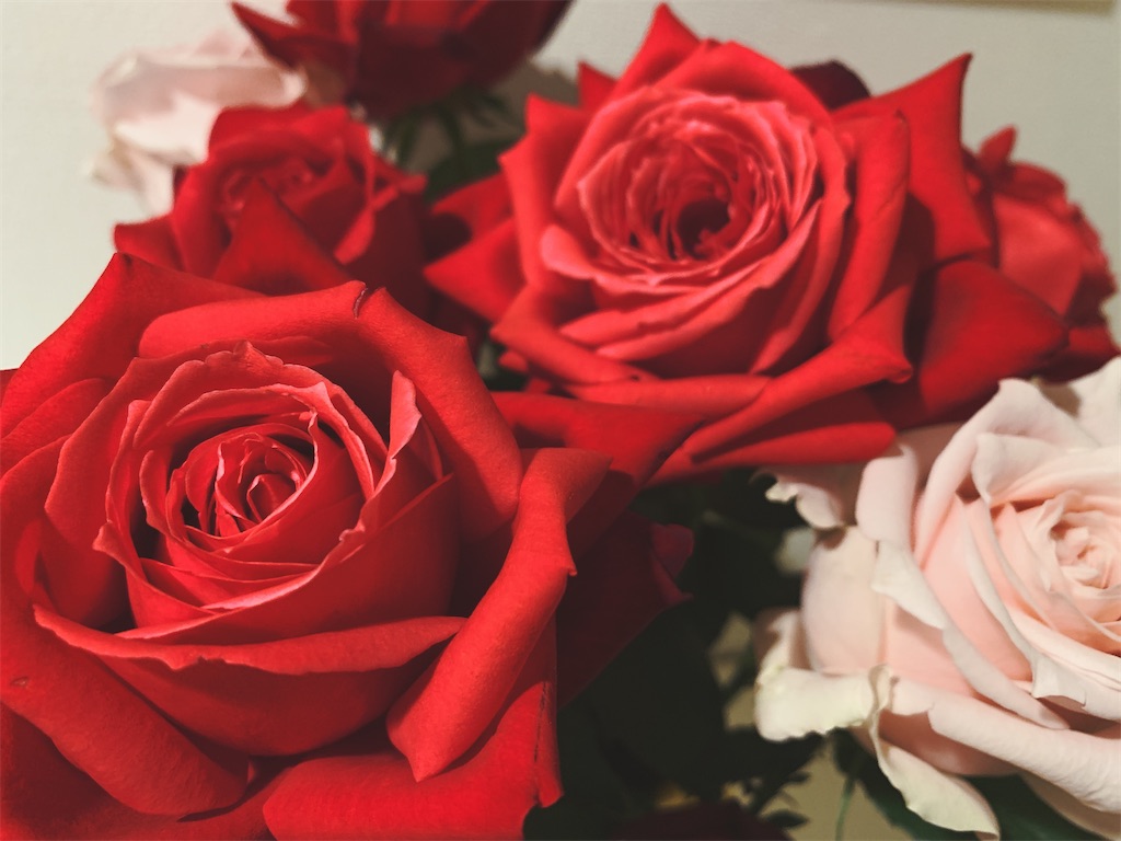 f:id:cym73:20200506122134j:image f:id:cym73:20200506122134j:image