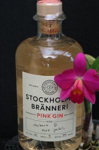 クリオネが浮遊！ 北欧の「ストックホルム ブランネリ ピンク ジン