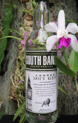 f:id:cymagin:20190411213441j:plain f:id:cymagin:20190411213441j:plain