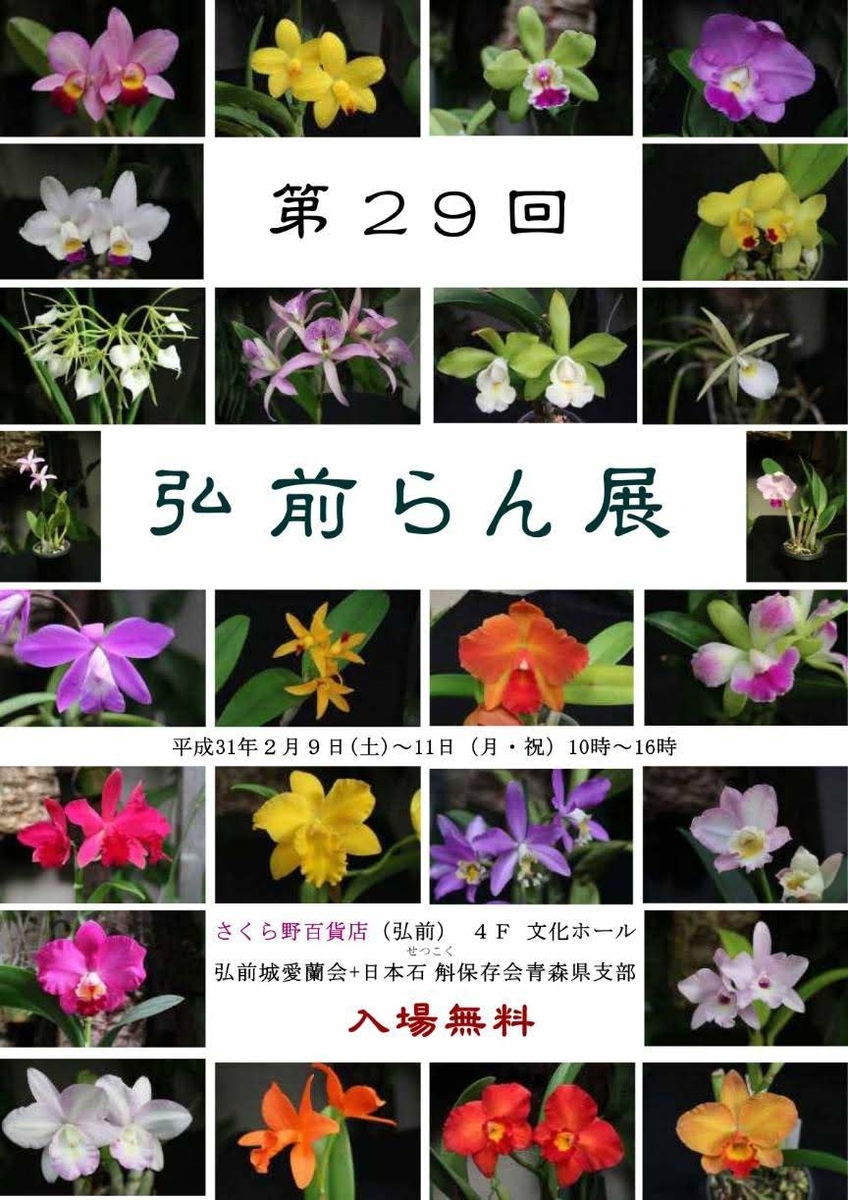 f:id:cymagin:20190711100655j:plain