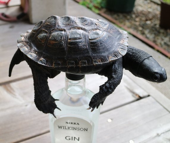 魅力的な価格 酒税法、お目こぼしの中で遊ぶ - ジンを楽しみ ジンで遊ぶ トップス