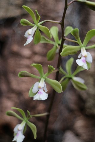 f:id:cymagin:20201204205735j:plain