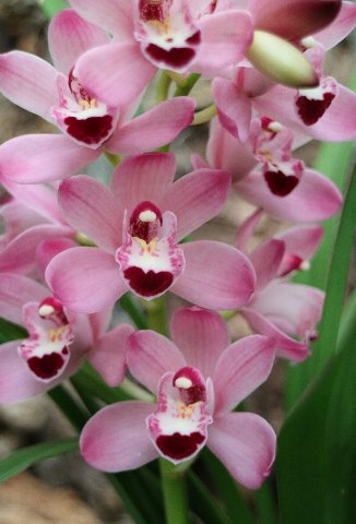 f:id:cymagin:20210107210506j:plain