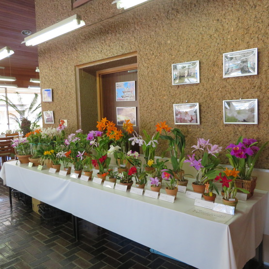 f:id:cymagin:20210408204222j:plain