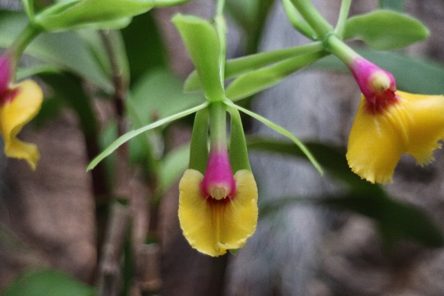 f:id:cymagin:20210413204402j:plain