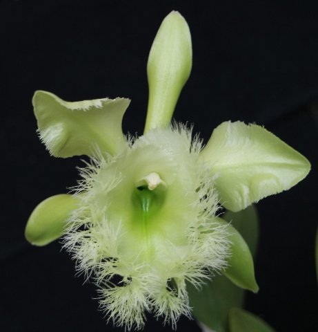 f:id:cymagin:20210518212631j:plain