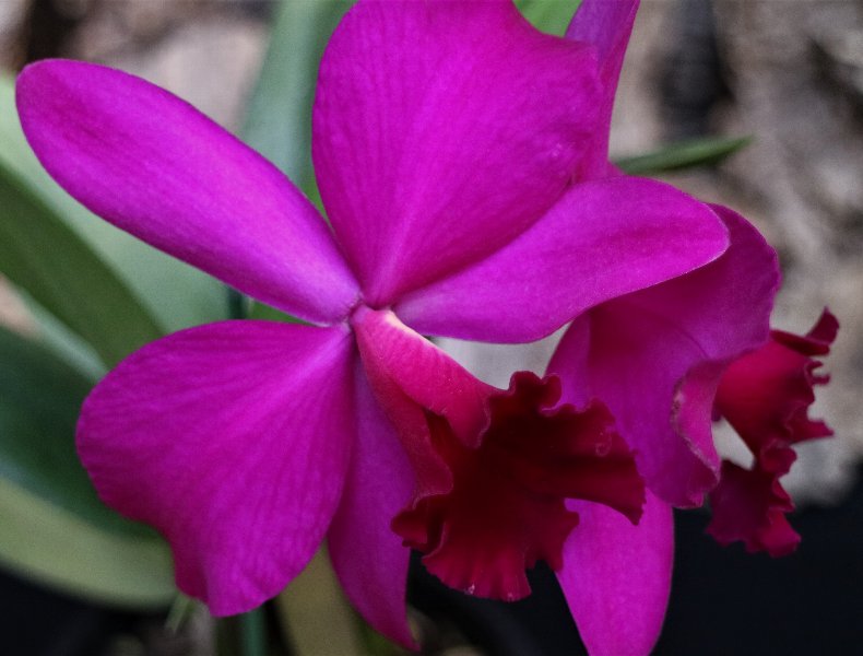 f:id:cymagin:20211023210250j:plain