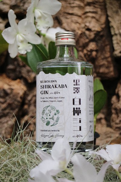 f:id:cymagin:20211110184501j:plain