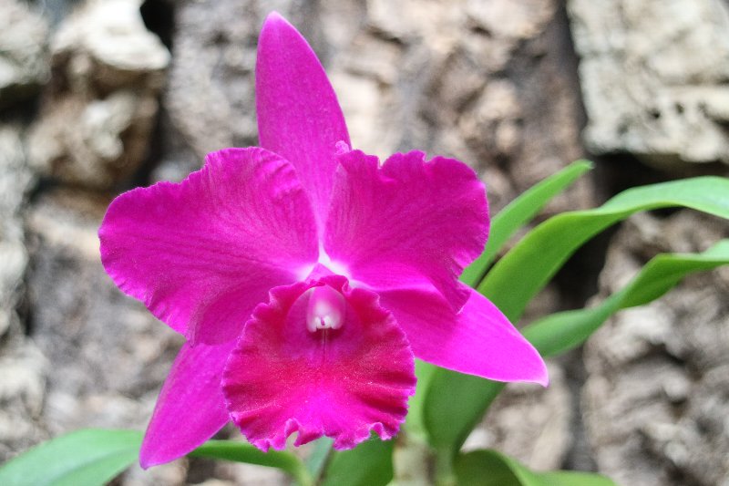 f:id:cymagin:20220125135125j:plain