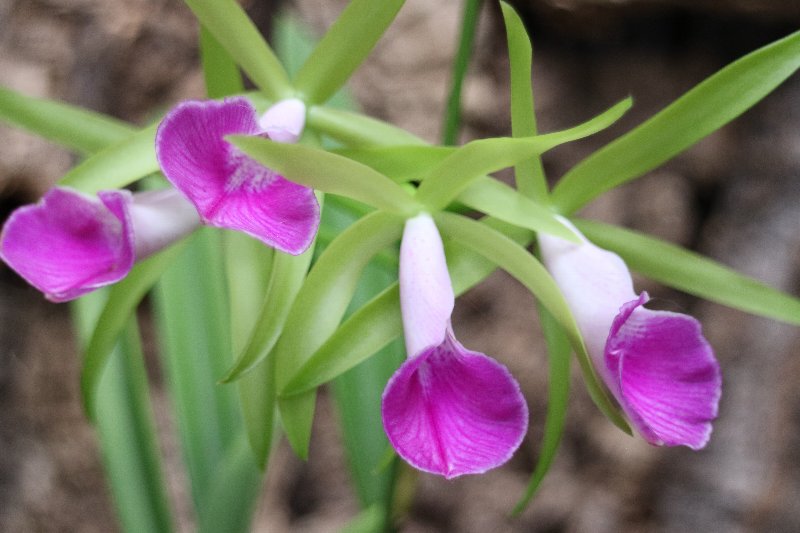 f:id:cymagin:20220125140108j:plain