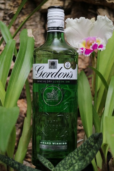ゴードンジン グリーン」 世界で一番呑みやすいジンかも - ジンを ゴードンジン グリーン」 世界で一番呑みやすいジンかも - ジンを