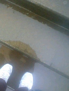 f:id:cymbals:20071110112820j:image:right:w120