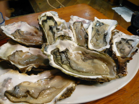 f:id:cymbals:20080912210822j:image:w300