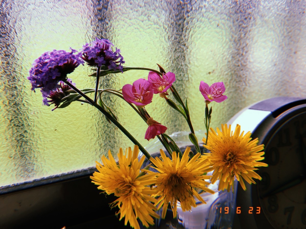 20190623114657