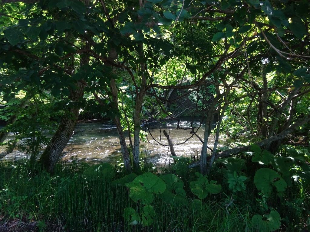 f:id:cynchroniciteen:20210923230832j:image