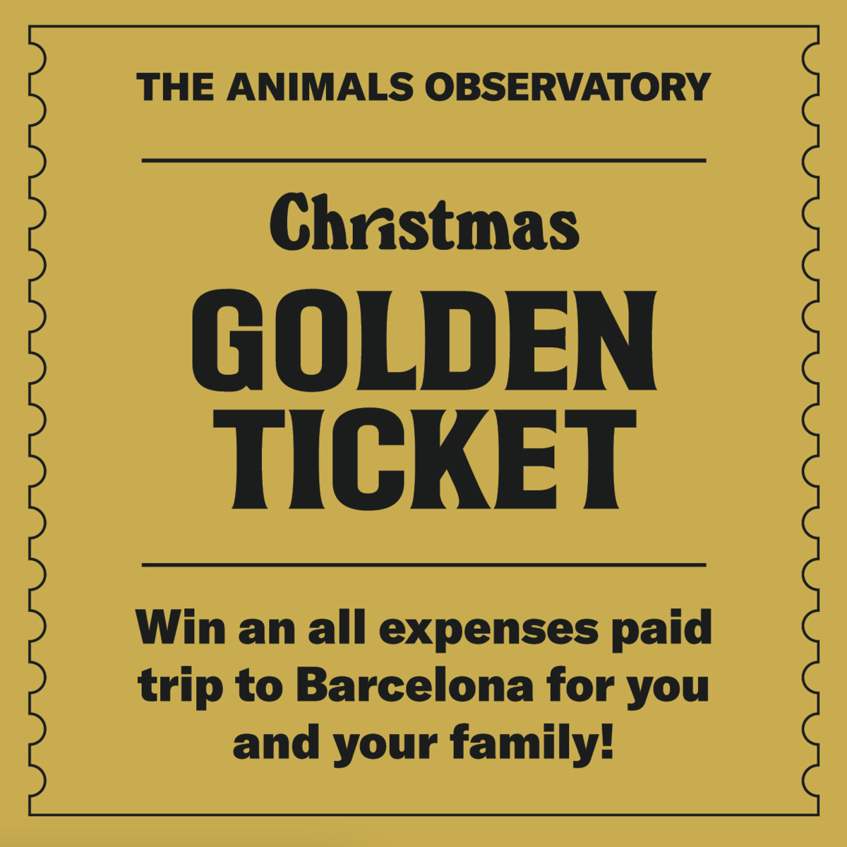 個人輸入 ブラックフライデーを前にびっくり情報が The Animals Observatoryほか編 Cynicalmoon S Blog