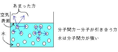 分子間力と表面力 81x4rUfI0XL._UF350,350_QL50_.jpg