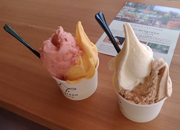 f:id:cyocota:20190731102335j:plain