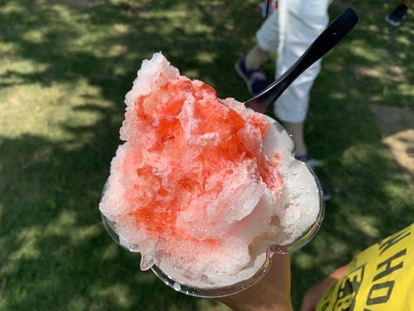 f:id:cyocota:20190804100204j:plain
