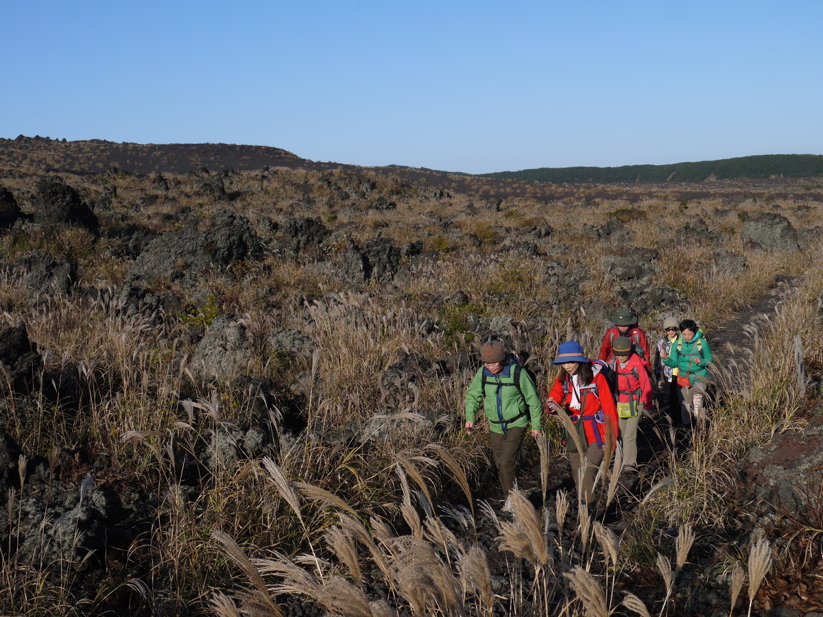 f:id:cyoiyamaclub:20201115111551j:plain