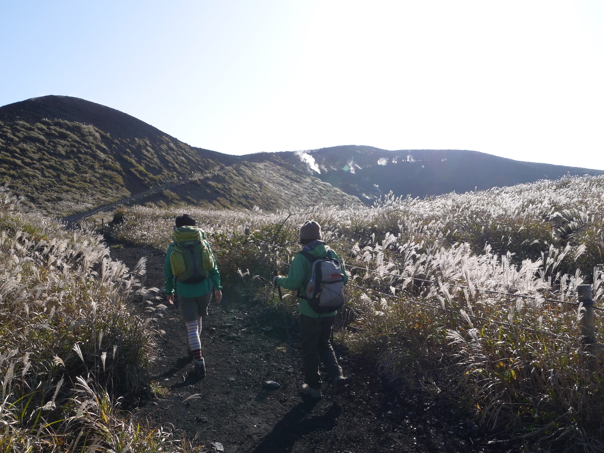 f:id:cyoiyamaclub:20201115142448j:plain