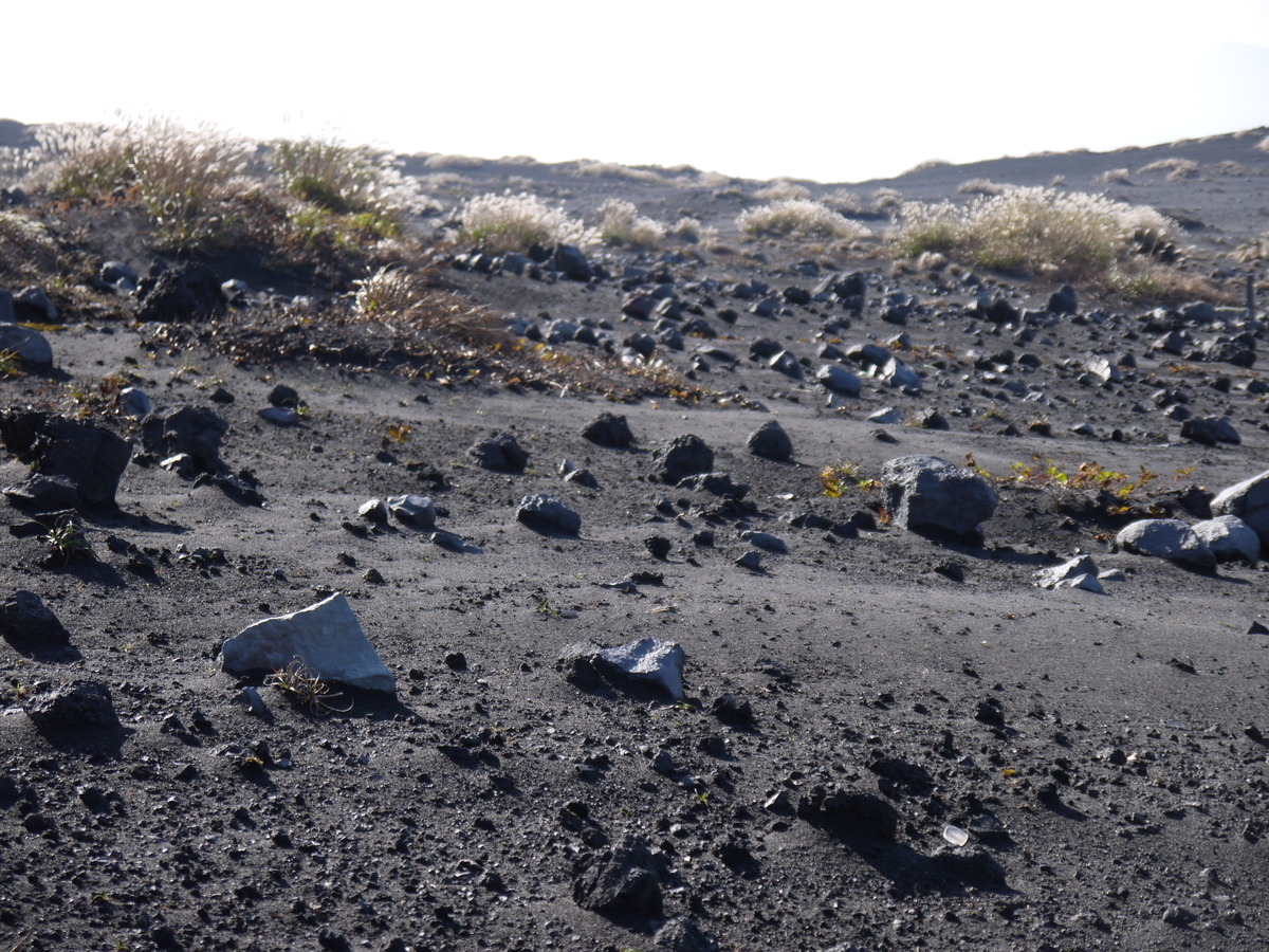 f:id:cyoiyamaclub:20201115145355j:plain