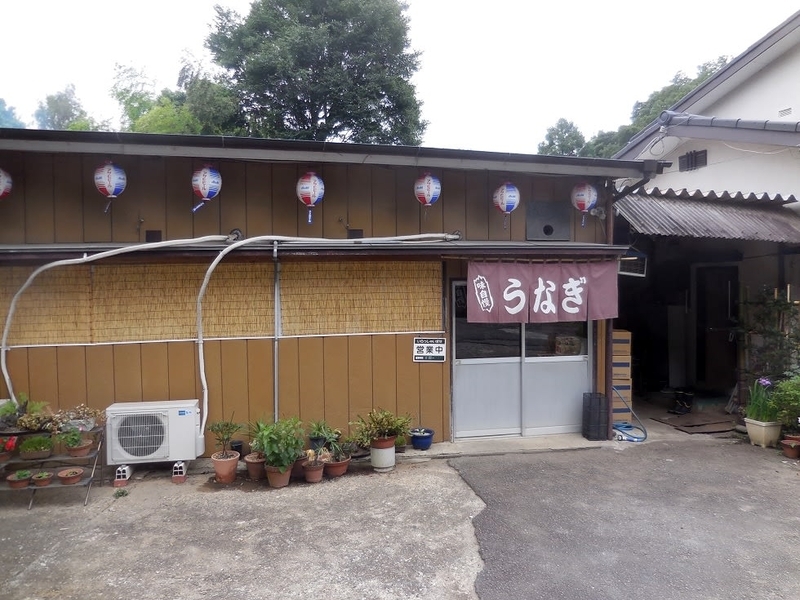 成田市、名鳥でエビガニ(アメリカザリガニ)を食べました。 - 半谷範一の「オレは大したことない奴」日記