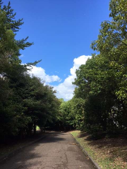 f:id:cyu-ko:20170918135913j:plain f:id:cyu-ko:20170918135913j:plain