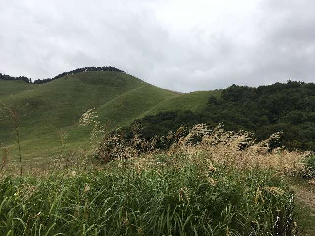 f:id:cyu-ko:20170925212129j:plain f:id:cyu-ko:20170925212129j:plain