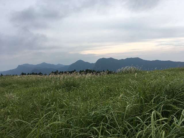 f:id:cyu-ko:20170925212613j:plain f:id:cyu-ko:20170925212613j:plain
