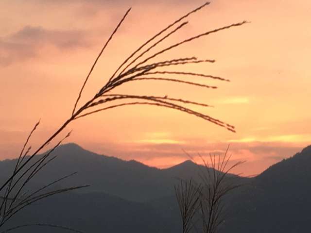 f:id:cyu-ko:20170925213331j:plain f:id:cyu-ko:20170925213331j:plain