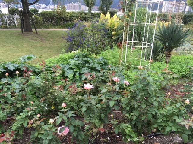 f:id:cyu-ko:20171012203757j:plain f:id:cyu-ko:20171012203757j:plain