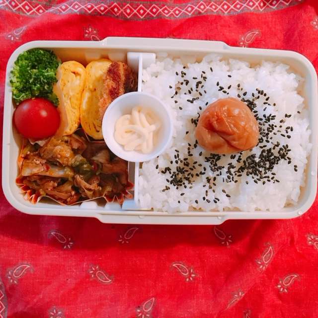 f:id:cyu-ko:20180319104408j:plain f:id:cyu-ko:20180319104408j:plain
