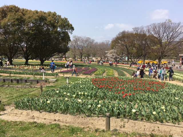 f:id:cyu-ko:20180401181706j:plain f:id:cyu-ko:20180401181706j:plain