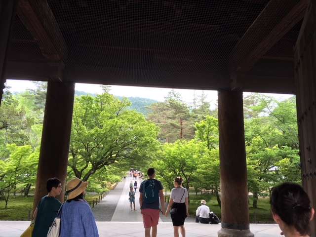 f:id:cyu-ko:20180521155447j:plain f:id:cyu-ko:20180521155447j:plain