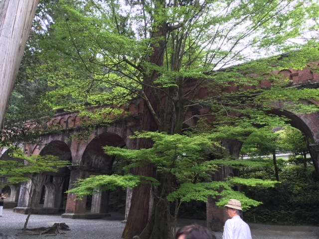 f:id:cyu-ko:20180521155500j:plain f:id:cyu-ko:20180521155500j:plain