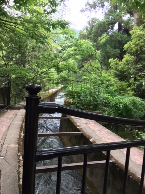 f:id:cyu-ko:20180521155604j:plain f:id:cyu-ko:20180521155604j:plain