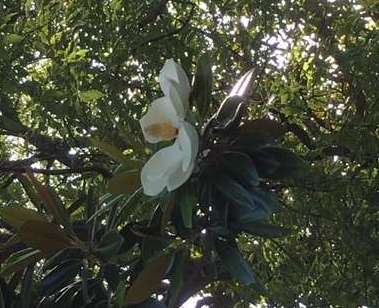 f:id:cyu-ko:20180610085842j:plain f:id:cyu-ko:20180610085842j:plain