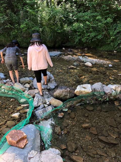f:id:cyu-ko:20180624112740j:plain f:id:cyu-ko:20180624112740j:plain