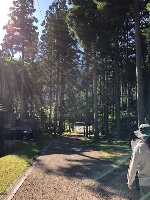f:id:cyu-ko:20180624114326j:plain f:id:cyu-ko:20180624114326j:plain