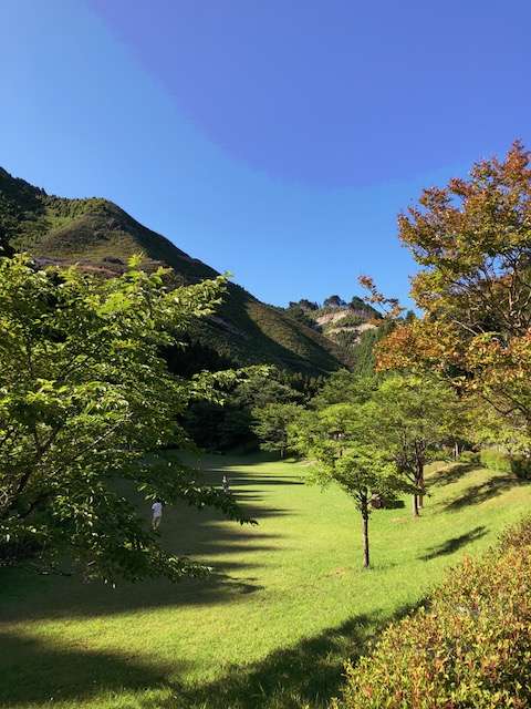 f:id:cyu-ko:20180624114348j:plain f:id:cyu-ko:20180624114348j:plain