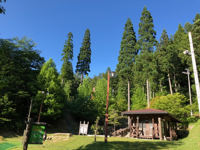 f:id:cyu-ko:20180624114434j:plain f:id:cyu-ko:20180624114434j:plain