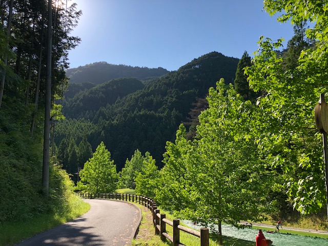 f:id:cyu-ko:20180624114528j:plain f:id:cyu-ko:20180624114528j:plain